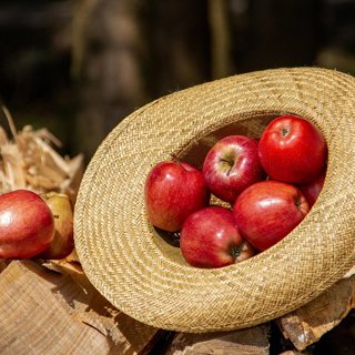 Apple Picker's Box, 3 kg