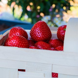 Strawberries, 400 g