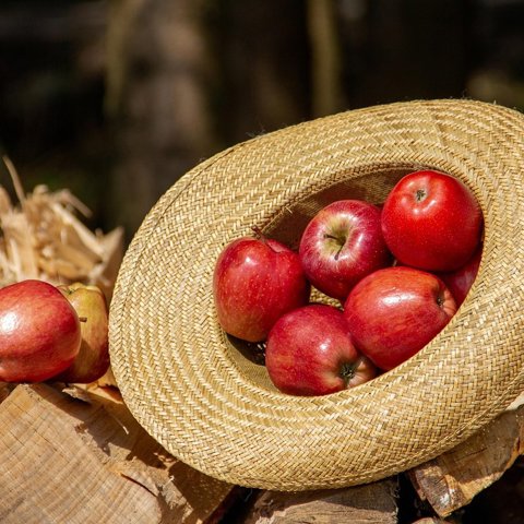 Apple Picker's Box, 3 kg