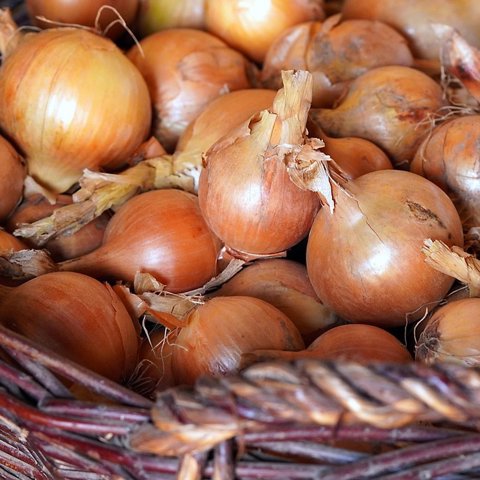 Brown Onions, 1 kg