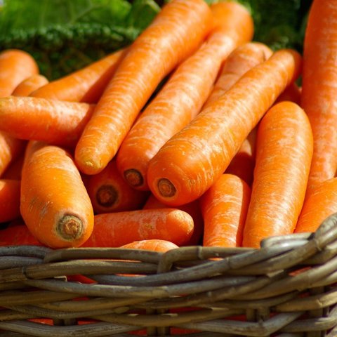 Bunched Carrots, 750 g