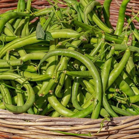 Fine Green Beans, 300 g